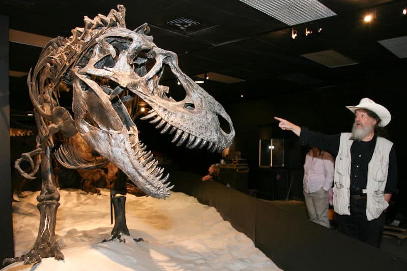 dinosaurio y paleontologo