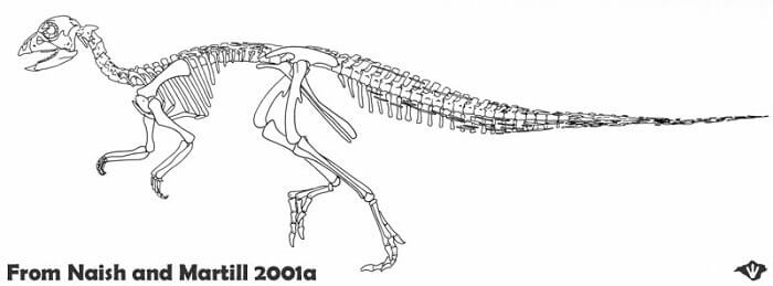 Descripción del Hypsilophodon
