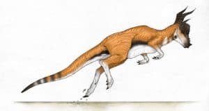 Descripción del Stygimoloch
