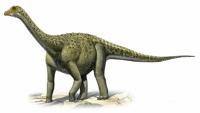 Dibujo de un Titanosaurus