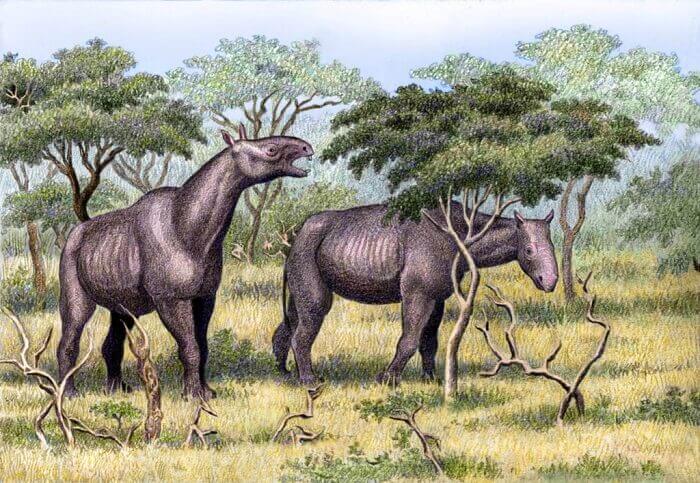 Posibles causas de la extinción del Paraceratherium