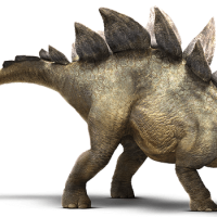 dibujo-stegosaurus