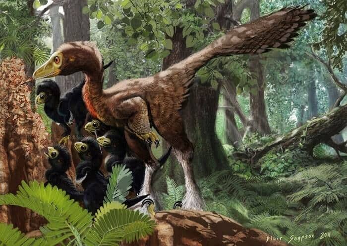 Hábitat natural del Troodon