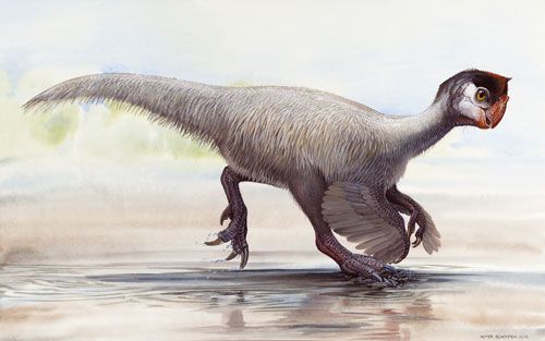 Nombres de dinosaurios de la A a la Z – Dinosaurios