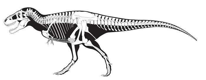 Tyrannosaurus rex (T.rex): el mayor destructor de la historia