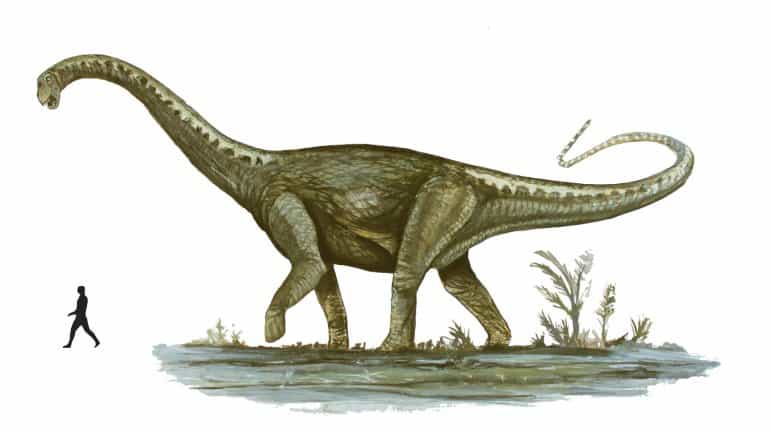 dinosaurio mas grande del mundo