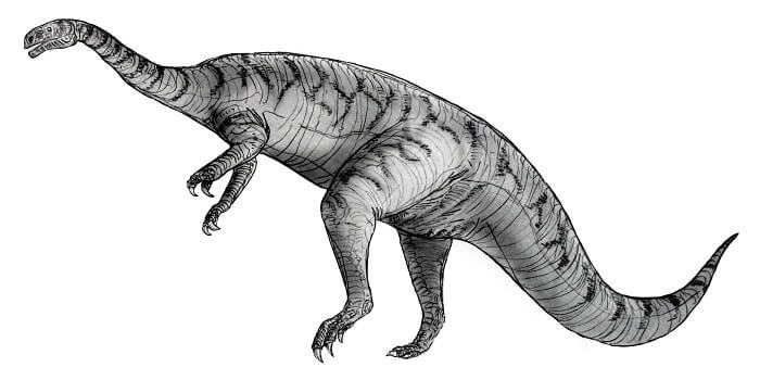 Dibujo de un Plateosaurus, perteneciente a la Familia Plateosauridae