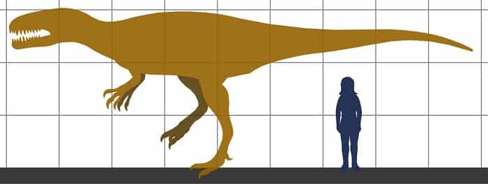Descripción del Megalosaurus