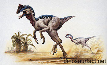 dinosaurio chirostenotes